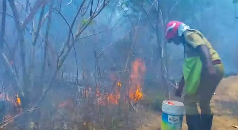 കണ്ണൂര്‍ ചക്കരയ്ക്കലില്‍ വന്‍ തീപിടുത്തം