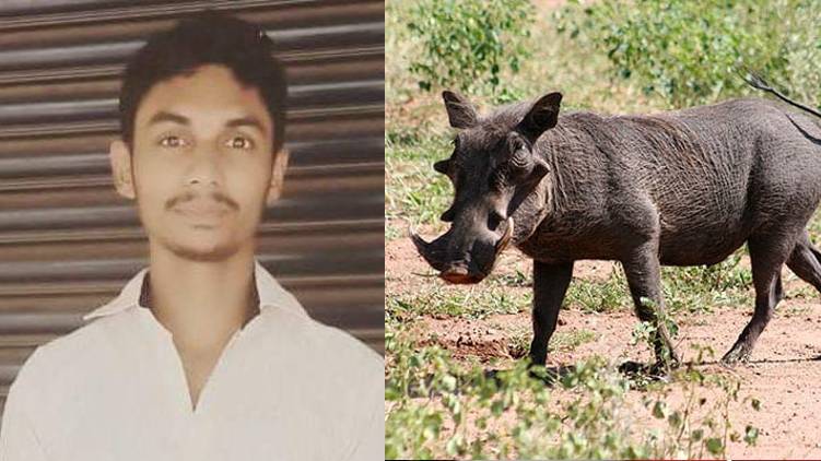 മലപ്പുറത്ത് പന്നി വേട്ടയ്ക്കിടെ യുവാവ് വെടിയേറ്റു മരിച്ചു