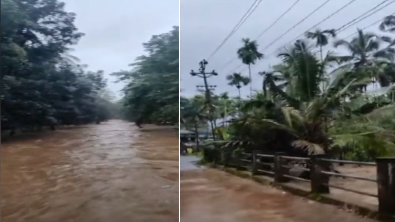 കോഴിക്കോടും പാലക്കാടും മലവെള്ളപ്പാച്ചില്‍; പുഴയില്‍ കുടുങ്ങിയ യുവാക്കളെ രക്ഷപെടുത്തി; പാലം ഒലിച്ചുപോയി