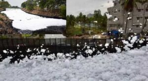 <b>ബെല്ലന്ദൂര്‍ തടാകത്തിലെ ജലം പതയായി നുരഞ്ഞു പൊങ്ങുന്നു’; പഠനവുമായി ഗവേഷകര്‍‘</b>