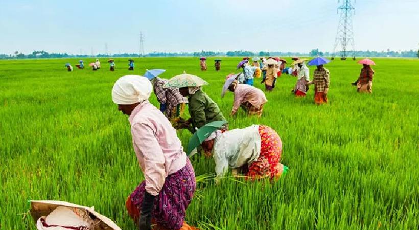 ഇന്ന് ചിങ്ങം 1; കേരളത്തിന് ഇന്ന് പുതുവര്‍ഷപ്പിറവി