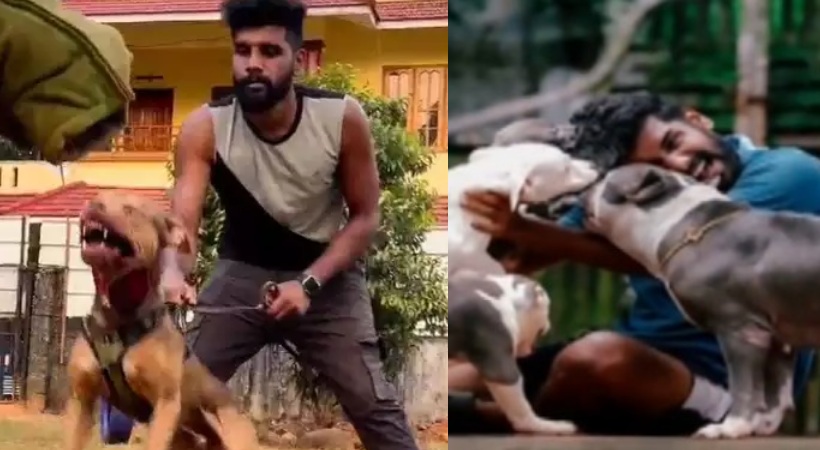 നായക്കാവലിലെ കഞ്ചാവ് കച്ചവടം; പ്രതി റോബിന്‍ ജോര്‍ജ് പിടിയില്‍