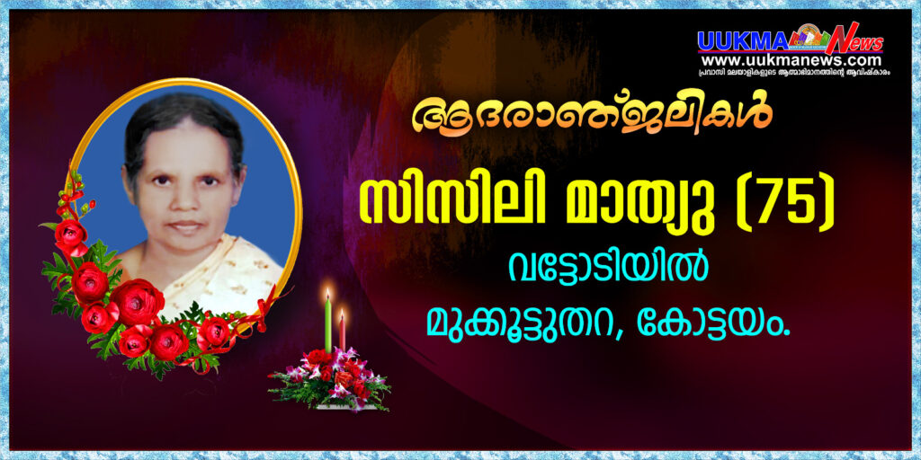 മകളെ കാണാൻ യുകെയിൽ എത്തിയ അമ്മ ഹൃദയാഘാതം മൂലം മരണമടഞ്ഞു….. 