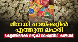 ബാങ്കോക്കില്‍ നിന്ന് കൊച്ചിയിലേക്ക് പറക്കുന്ന വിലകൂടിയ കഞ്ചാവ്