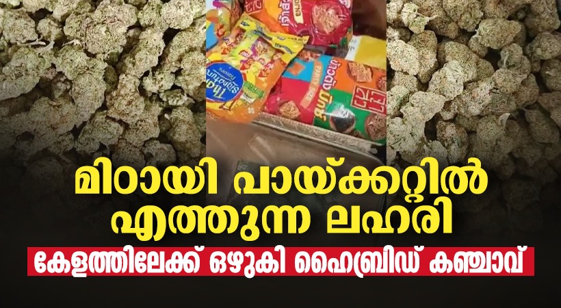 ബാങ്കോക്കില്‍ നിന്ന് കൊച്ചിയിലേക്ക് പറക്കുന്ന വിലകൂടിയ കഞ്ചാവ്