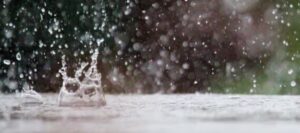 മഴയെ കരുതിയിരിക്കാം; ഇന്ന് നാല് ജില്ലകളിൽ ഓറഞ്ച് അലേർട്ട്