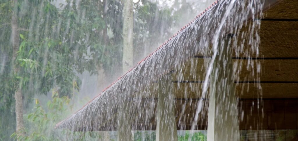 മഴ മാറിയില്ല; വരും ദിവസങ്ങളിൽ ശക്തമാകും, വിവിധ ജില്ലകളിൽ അലേർട്ടുകൾ