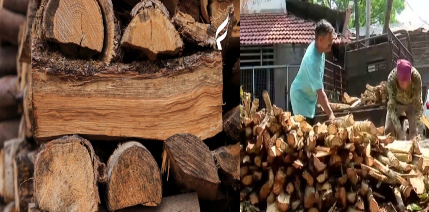 ഒരു ടൺ വിറകിന് 5000 രൂപ;വാണിജ്യ സിലിണ്ടർ കിട്ടാതായതോടെ വിറകിന് ആവശ്യക്കാർ