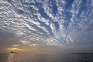 ഉപരോധം ലംഘിച്ചു; ഹോർമുസ് കടലിടുക്കിൽ ഇറാനിയൻ കപ്പൽ യുഎസ് നാവികസേന പിടിച്ചെടുത്തു