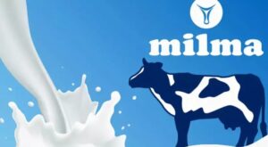 മില്‍മ പാലിന് 4 രൂപ കൂടും; വിലവര്‍ധന ഉടന്‍ നിലവില്‍ വരില്ല