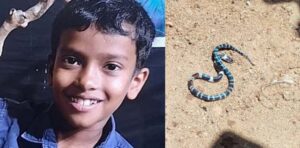 പാമ്പുകടിയേറ്റു മരിച്ച കുട്ടിയുടെ വീട്ടിൽ വീണ്ടും പാമ്പ്; സഹോദരൻ അതീവ​ഗുരുതരാവസ്ഥയിൽ
