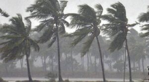 സംസ്ഥാനത്ത് മഴ മുന്നറിയിപ്പിൽ മാറ്റം; ഇന്ന് 5 ജില്ലകളിലും നാളെ 6 ജില്ലകളിലും യെല്ലോ അലേർട്ട്