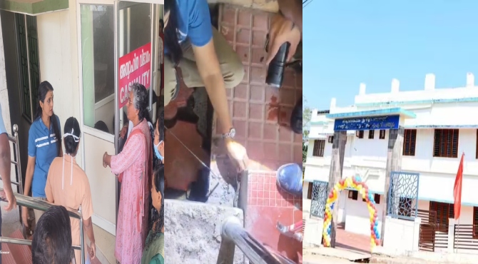 തിരുവനന്തപുരം വിതുര താലൂക്ക് ആശുപത്രിയിൽ അണലി; പിടികൂടി RRT സംഘം
